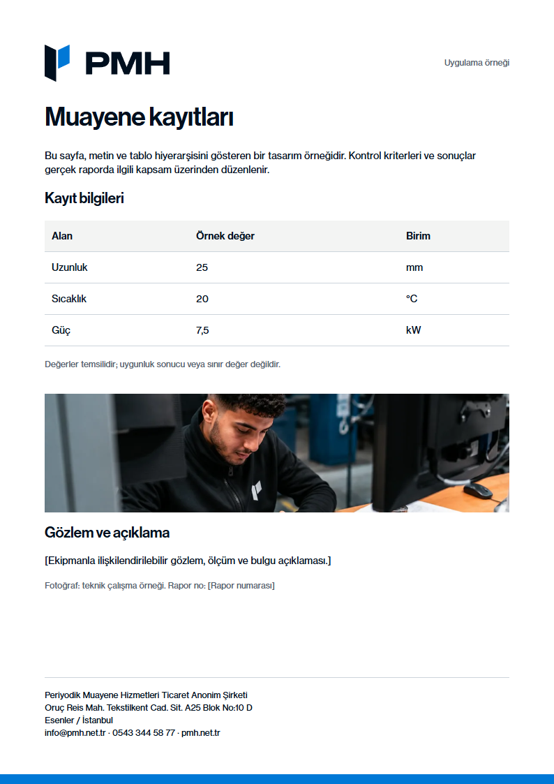 Rapor iç sayfası